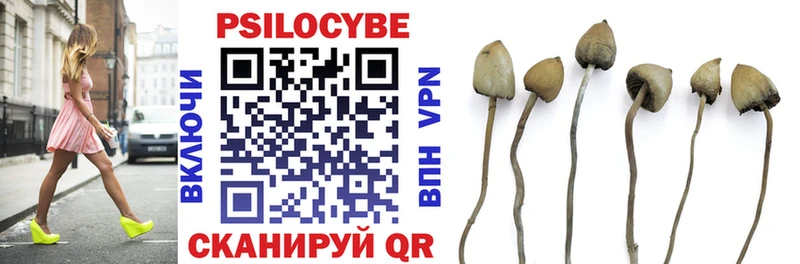 Псилоцибиновые грибы мухоморы  где купить наркоту  Кудрово 