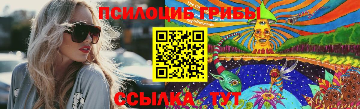 Галлюциногенные грибы GOLDEN TEACHER Кудрово